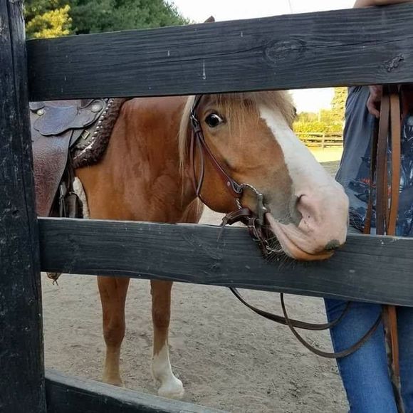 Meet your Posher, Jill - Picture 1 of 1